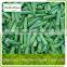 iqf/ frozen green beans