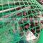 Trellis plastic nets for lawn production in green are best price now