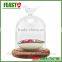 Bell Jar With Wooden Base Clear Glass Dome Stand