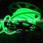China Manufacturer Green AC110V-120V Underwater Decoration LED Neon Rope Light