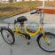 24" beautiful electric tricycle(FP-ETRI02)