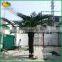 5m fiberglass trunk artificial date palm tree cheap price artificial palm tree