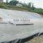 Geomembrane for landfill fish farm pond