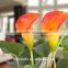 PU red orange artificial Calla Lily mini plant