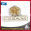 Custom design CESAM promotion logo brand pin badge