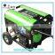 China Supplier High Quality 1.2KW, 3KW Biogas Generator for Small Family Size Biogas Plant