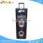 Hoxen dual 12inch trolley speakers with 9" monitor and DVD player P-45
