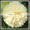 2016 Chinese new year decoration tissue paper pompom wall hanging paper crafts