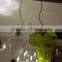 Hanging Led Camping Pool Light