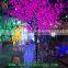 DC 12V China suppliers replaceable Christmas decoration LED belt clip light