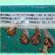snail electric fence tape of 40mm