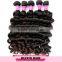 2014 6A Top Quality Ombre Color/natural Color Curly Virgin Brazilian Hair Loose Wave