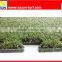 Artificial Grass Interlocking Puzzle Mat For Playground
