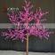 High quality of Light up Bauhinia cherry trees