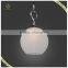 New Designs Indoor Modern Glass Pendant Light, Fancy Hanging Light
