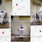 Ultra pulse Pigmentation Removal CO2 laser resurfacing machine