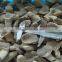 Fresh frozen pleurotus mushroom