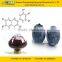 GMP Certified Manufacturer Supply Blueberry Extract