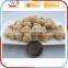 Stainless Steel Industrial Soya Protein Food Extruding Machine/Defatted Soy Protein Production Line