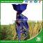 WANMA5635 Gold Supplier parboiled small scale Price Mini Rice Mill