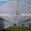 large plastic film greenhouse with control system for plant growth