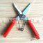 hand tool/pruner scissors/pruning shears trees/chromed fruit scissors
