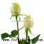 Beautiful big rose flower fresh cut dark red rose flowers yunnan vendela rose for decoration from china aibaba com