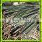 The best natural bamboo poles with green skin