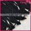 Hot selling long black tassel fringe trim for clothing WTPB-007