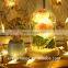Factory Direct Supply Preserved Rose Flowers in Glass with Led