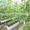 Agricultural Greenhouse Indoor Hydroponic Channels Set hydroponic growing systems