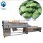 Stainless steel potato and fruit washing and peeling machine