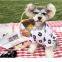 Fashion Daisy Printed Dog T-shirt Dog Clothes Summer Clothing Pomeranian Teddy Schnauzer Corgi Clothes