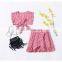 2019 summer girls striped floral tops tshirt & kids cotton skirts 2pc set free ship