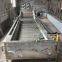 Fish Washing Machine  For Factory Fruit & Vegetable Washer  Vegetable Washer