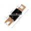 Stock ANL fuse in Gold plated car ANL fuse 40A-400A