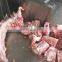 LONKIA Electric Meat Saw Bone Saw Machine Stainless Steel With Emergency Stop Button Easy to Operate Great Deal