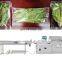 SOULYAM  BRAND Bag Fresh or Dry Fruit Vegetables Carrot Pouch Horizontal Packing Packaging Machine