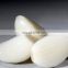 Chinese fresh frozen garlic with reliable price good quality