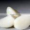 Chinese fresh frozen garlic with reliable price good quality