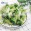 Sinocharm BRC-A Approved 3-6g IQF Broccoli Whole Frozen Broccoli For Cooking Noodles