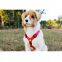 Hot sale Custom Dog Harnesses/ Adjustable Dog Harnesses