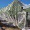 Batawa White Diamond Mesh Bird Netting 5m x 5m