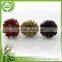 Advertising Quick Releasemoso Bamboo Plants With Flower Knot Sticks