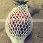 Pineapple Packing Mesh , foam roller sleeve , net espuma