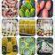mango protective packaging foam net