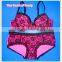 2015 New Desgined Underwear Set, Plus Size Bra Set