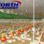 Popular automatic poultry chicken drinker,fountain drink,plasson drinker