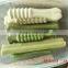 Single Color Pet Chewing gum Equipment/Pet treats Machi