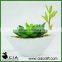 Mini Artificial White Ceramic Potted Echeveria Plant for Restaurant Table Decor